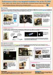 Performance of the X-ray targeted irradiation line
